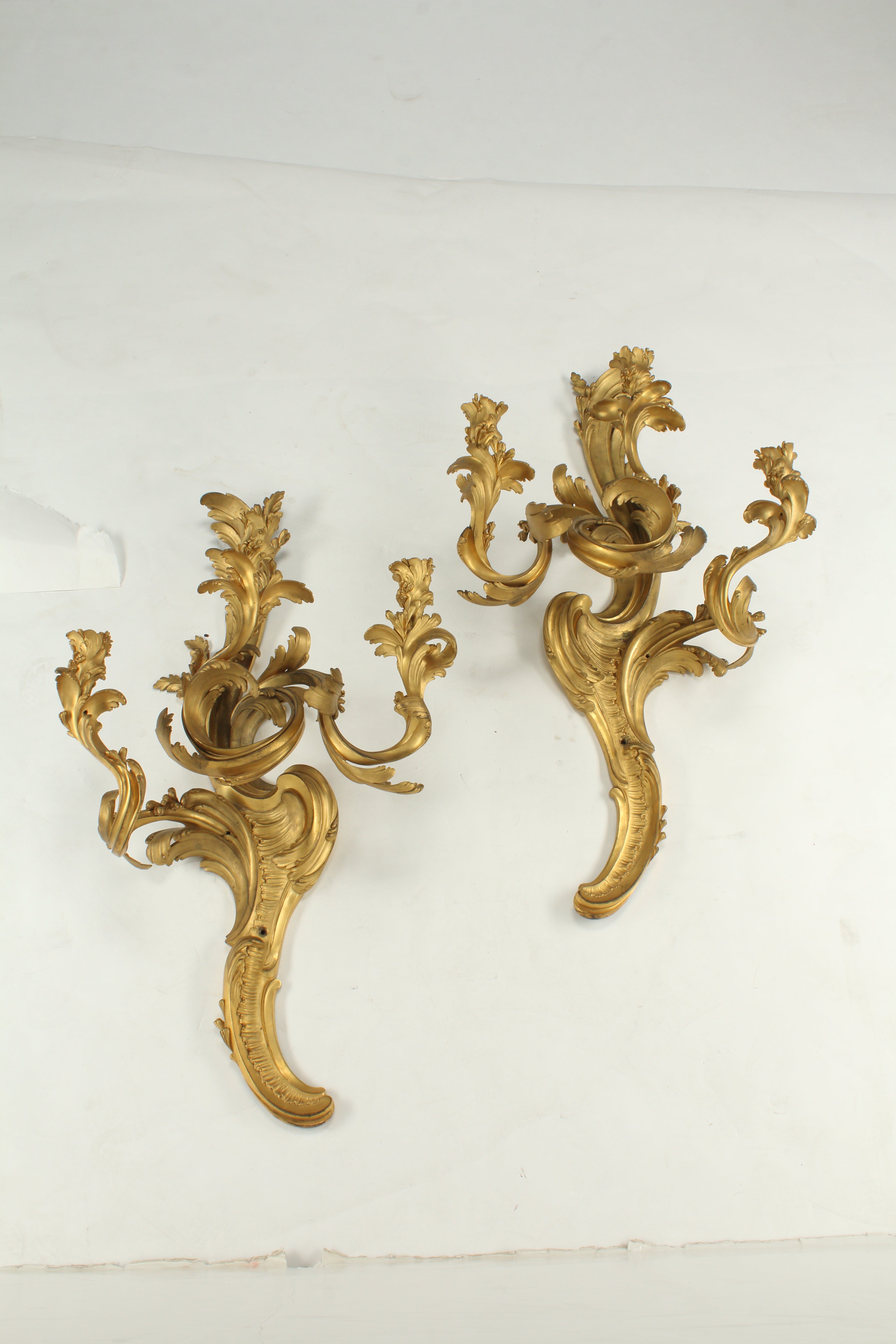 Pair of Palatial Louis XV Style Doré Bronze Sconces, 19th Century