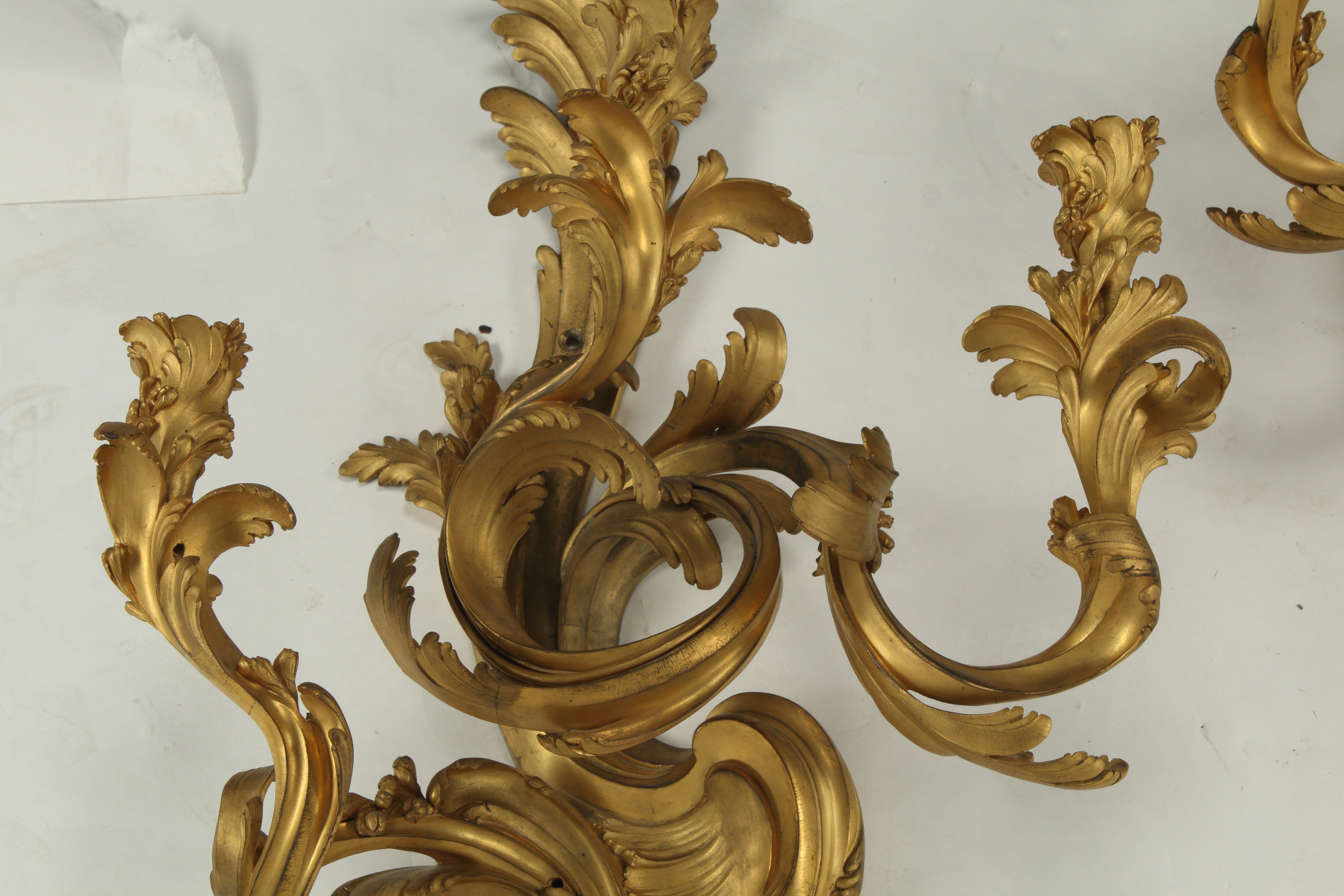 Pair of Palatial Louis XV Style Doré Bronze Sconces, 19th Century