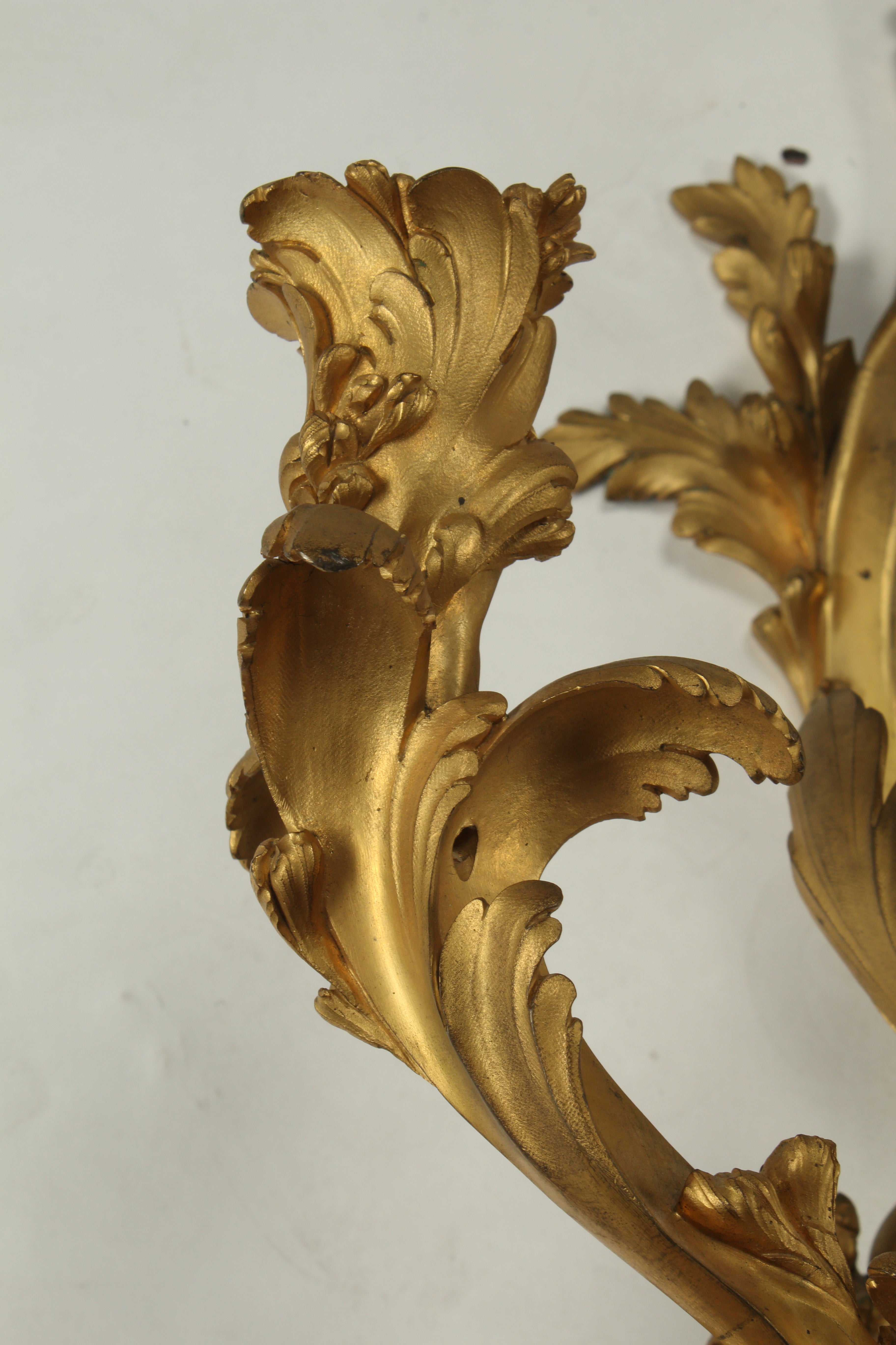 Pair of Palatial Louis XV Style Doré Bronze Sconces, 19th Century